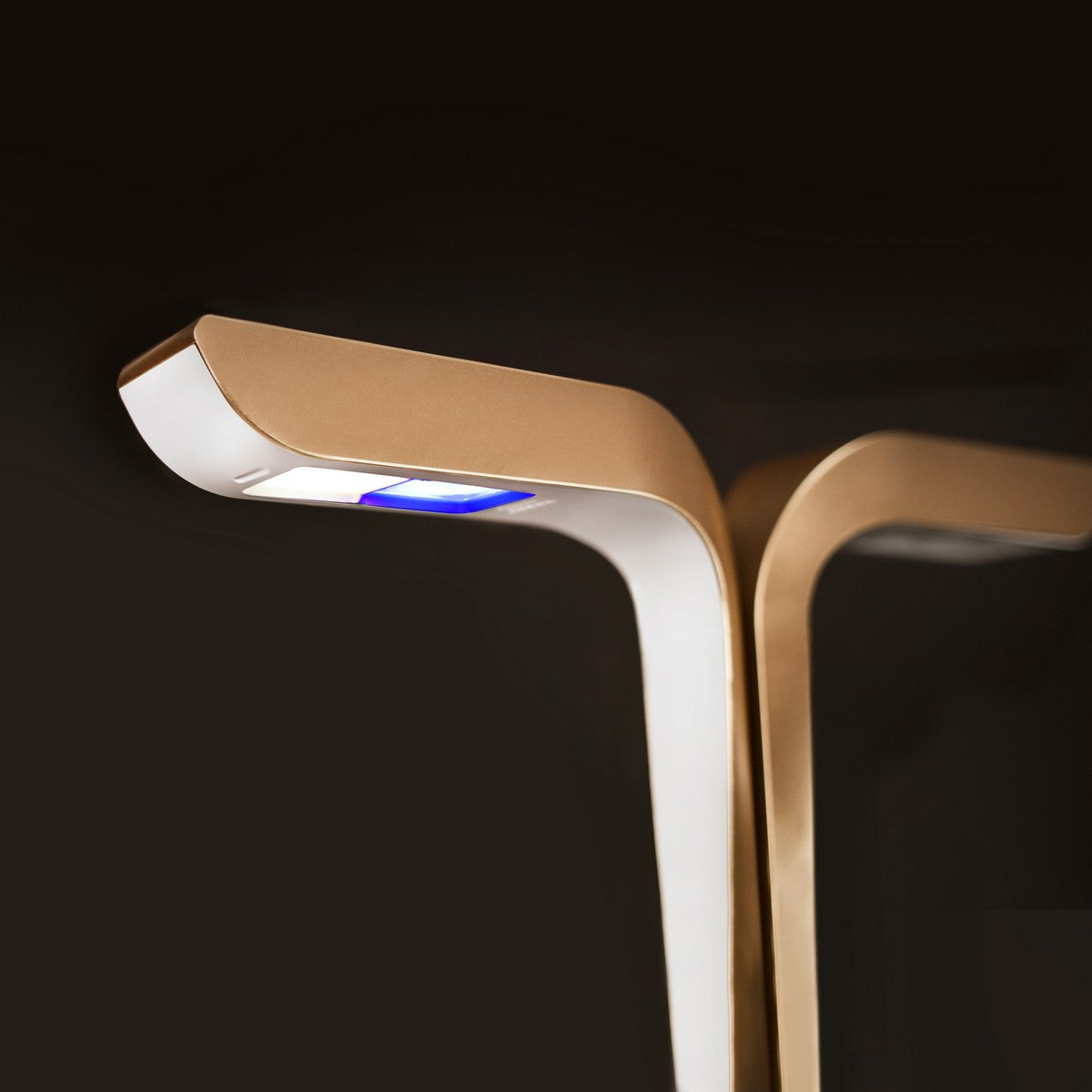 Veritable® CONNECT Moonlight Gold Kučni Vrt