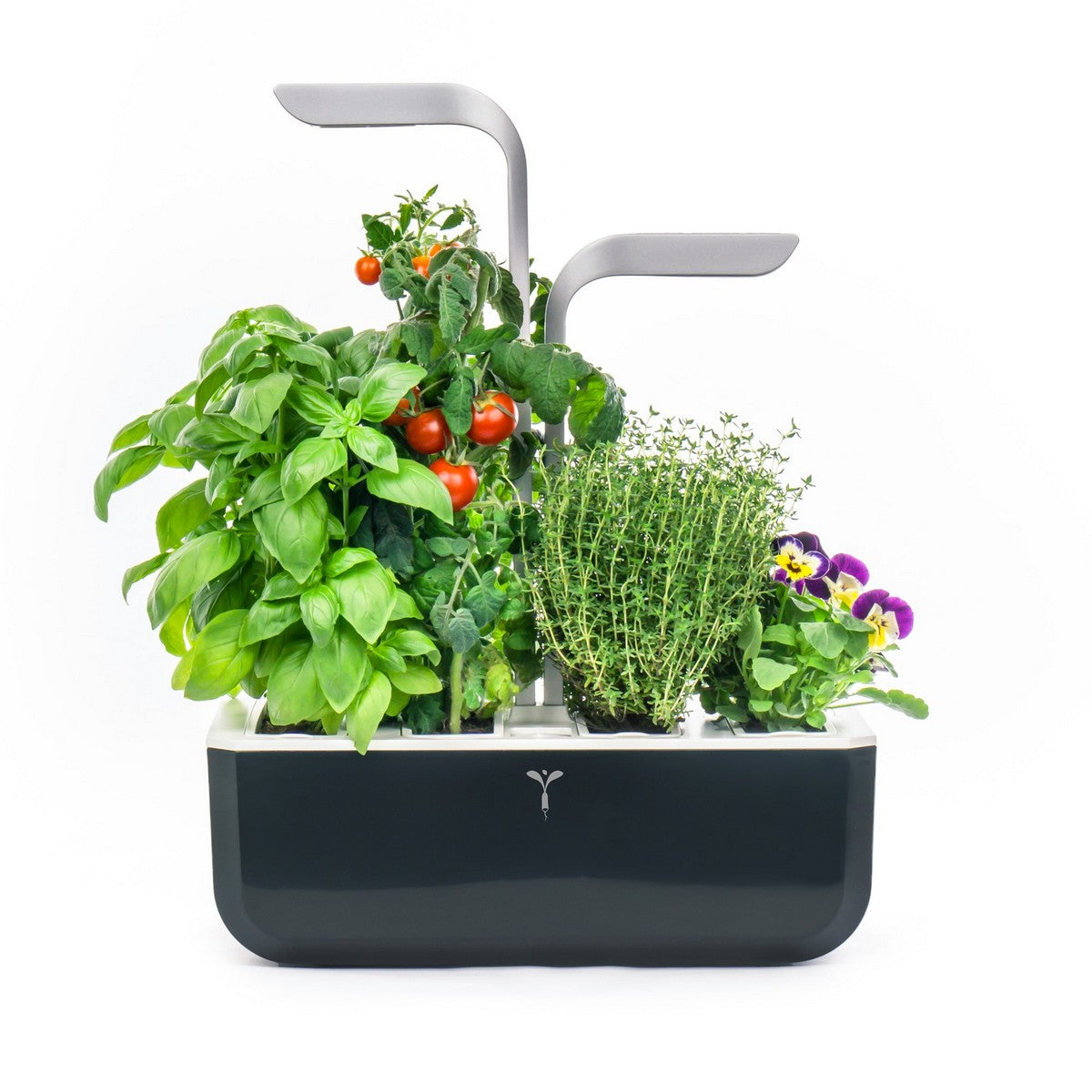 Veritable® SMART Soft Black Kučni Vrt