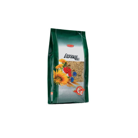 Padovan Zob Avena za ptice, 1 kg
