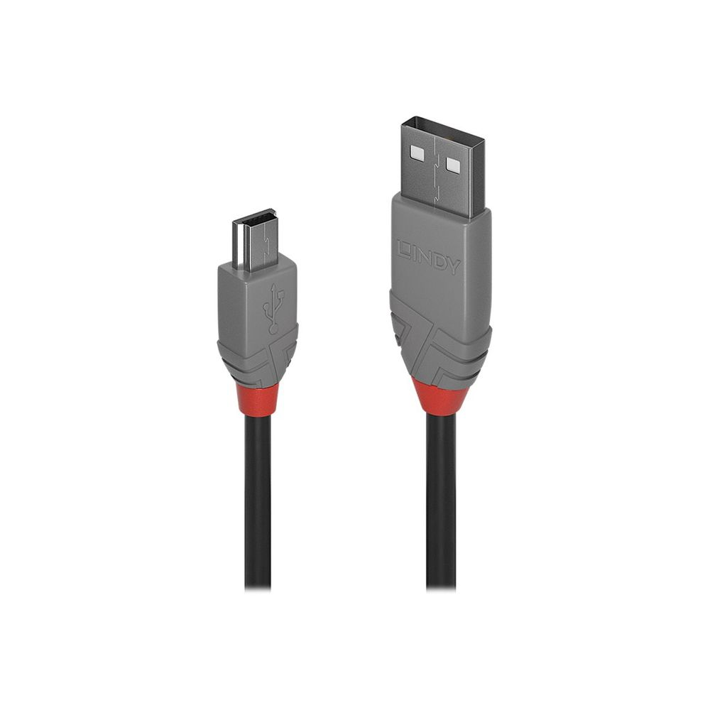 Lindy 36723 USB kabel 2 m USB 2.0 USB A Mini-USB B Crno, Sivo