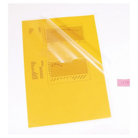 Fascikl PP &quot;L&quot; A4, 80 mic, Esselte 258120, prozirni mat