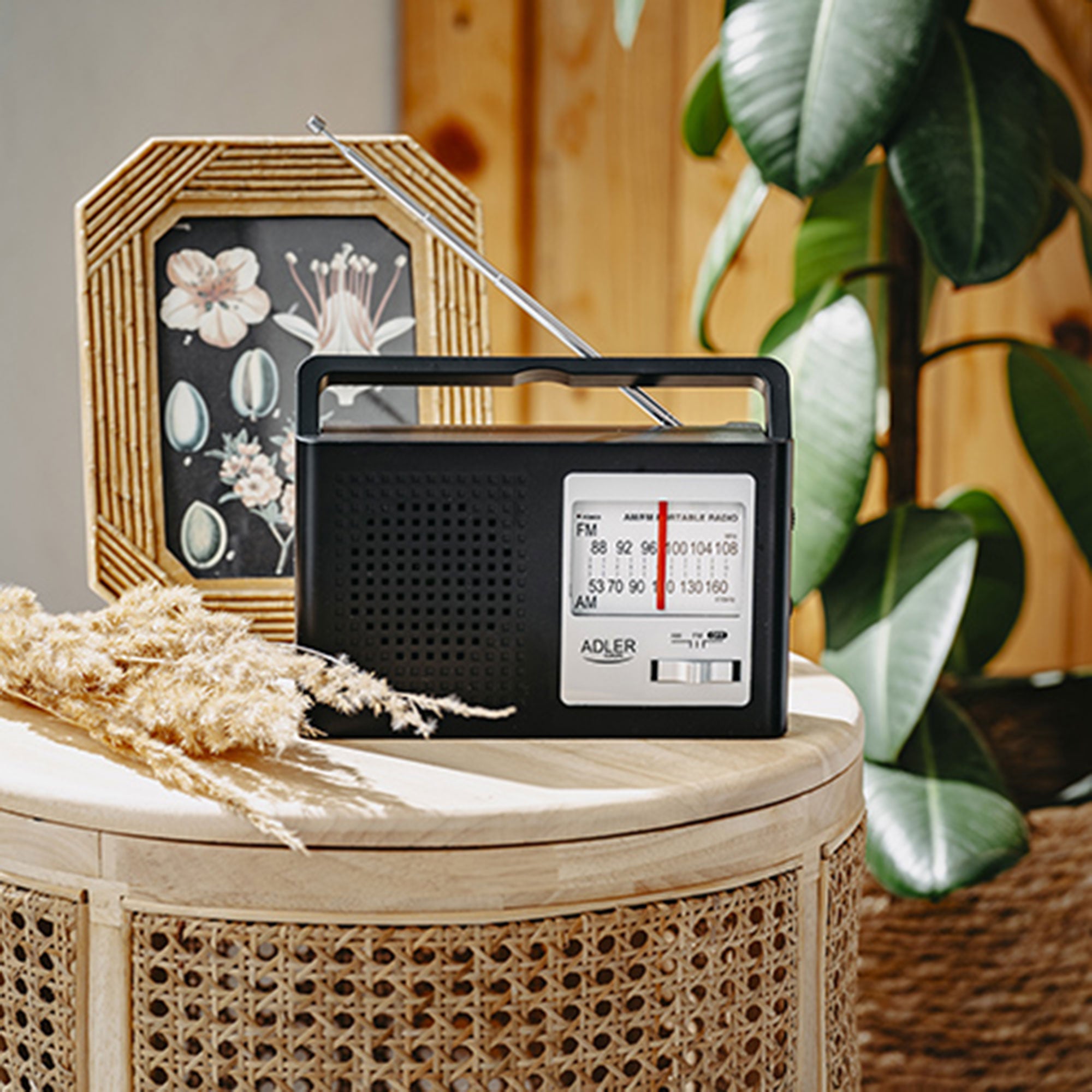 AM / FM Radio Adler AD 1909