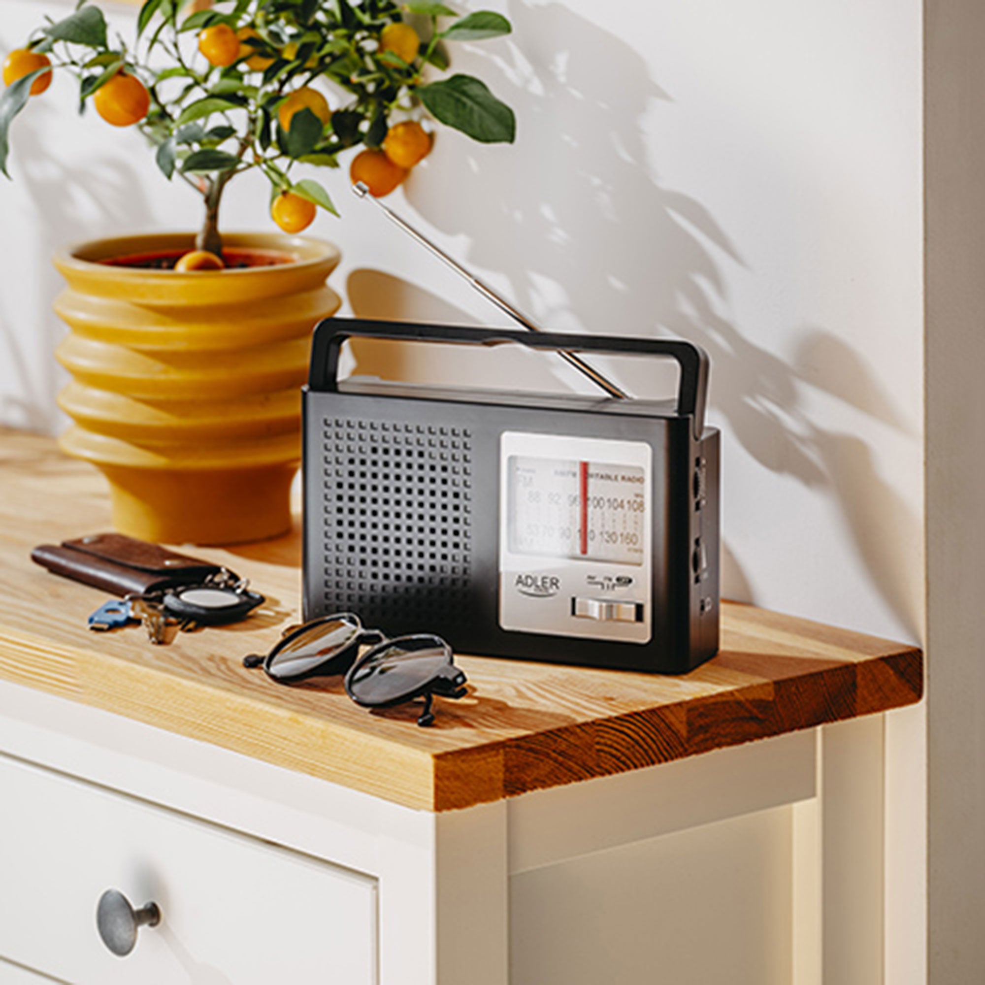 AM / FM Radio Adler AD 1909