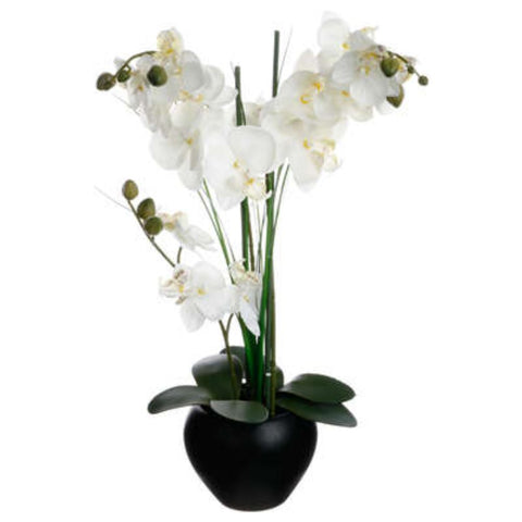 ATMOSPHERA UMJETNO CVIJEĆE U TEGLI ORHIDEJA 53CM KERAMIKA/PLASTIKA CRNA