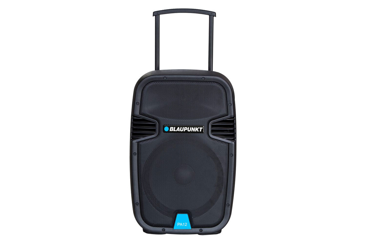 Blaupunkt profesionalni audio sistem PA12
