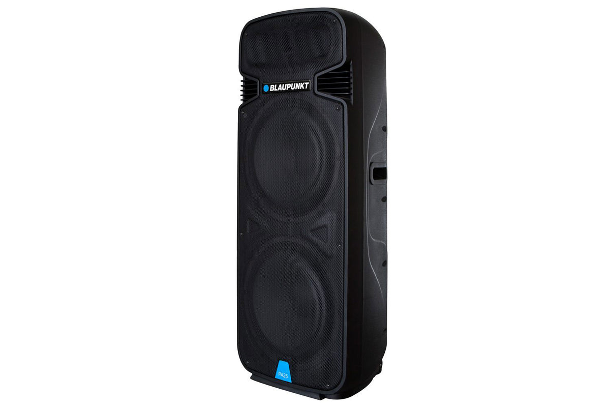 Blaupunkt profesionalni audio sistem PA25
