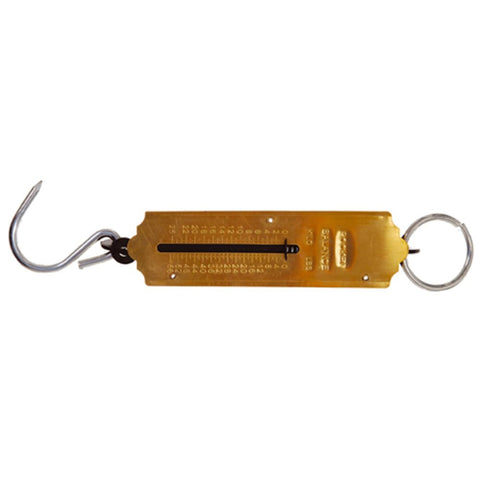 BGS Vaga ručna 25kg Kraftmann 8033