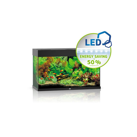 JUWEL Rio 125 LED Akvarij Crni, 81 x 36 x 50 cm, 125 litara