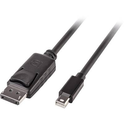 Lindy 41646 DisplayPort kabel 2 m Mini DisplayPort Crno