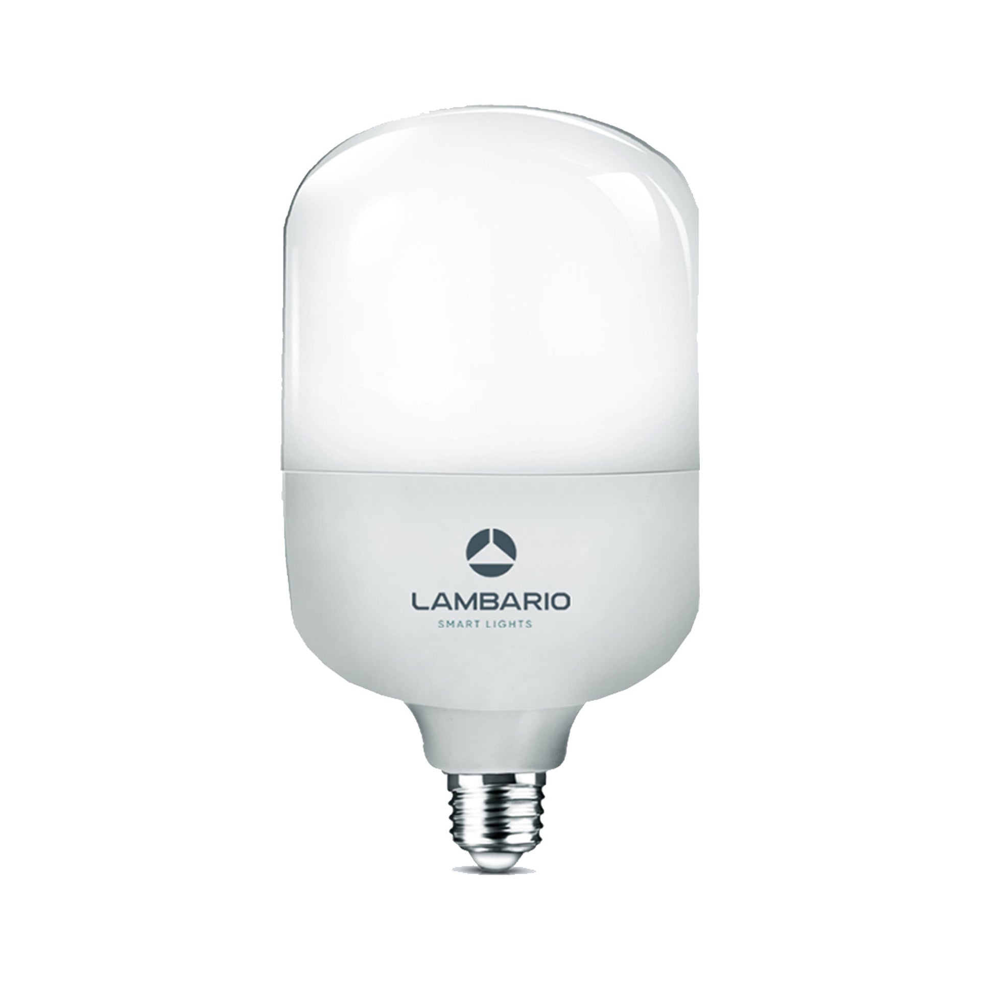LED E-27 17-20W T80 6400K Lambario