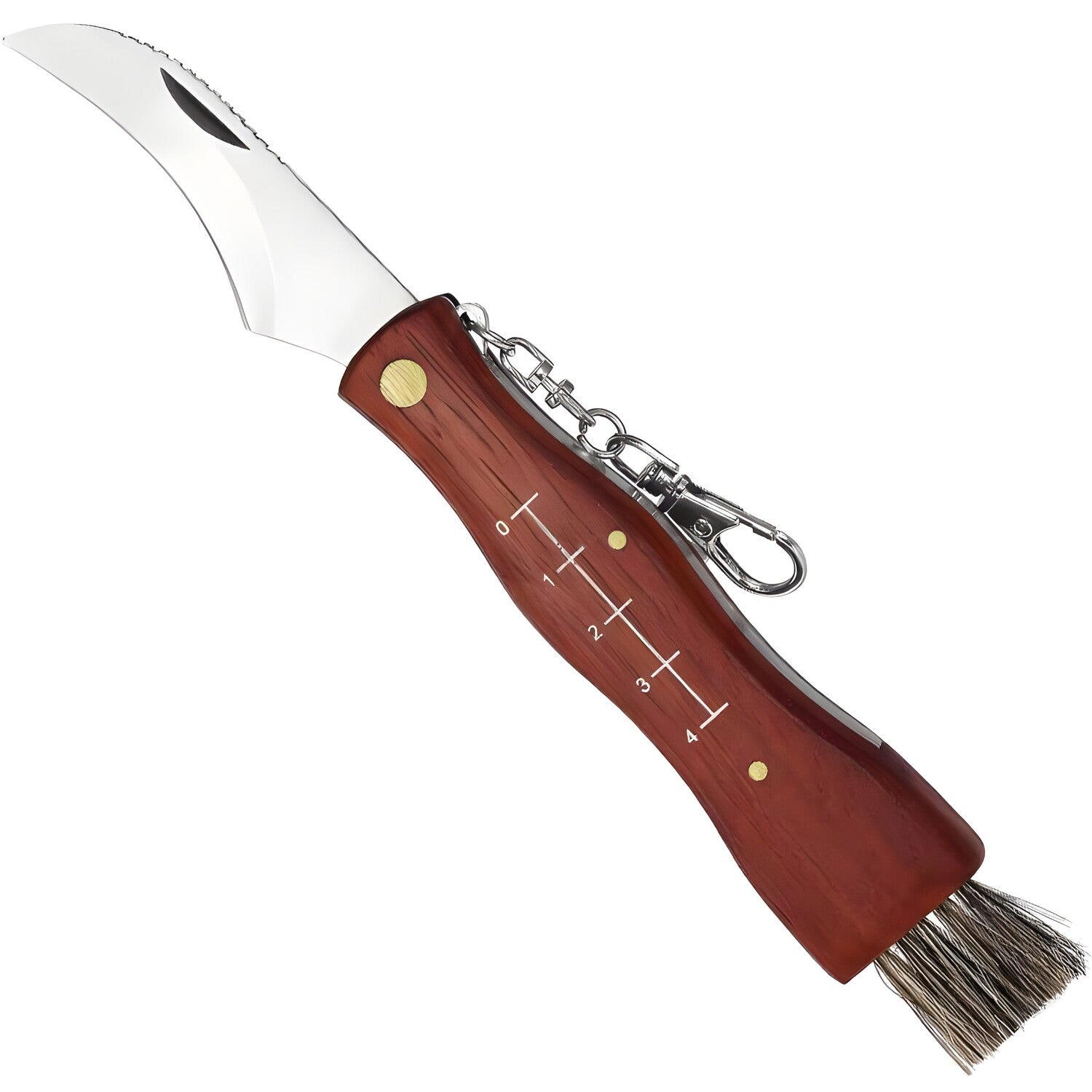 Gljivarski sklopivi nož s metlicom - 21cm / Smeđa KP37718