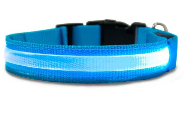 LED svijetleća ogrlica za pse u veličini po izboru