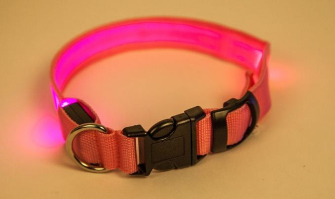 LED svijetleća ogrlica za pse u veličini po izboru
